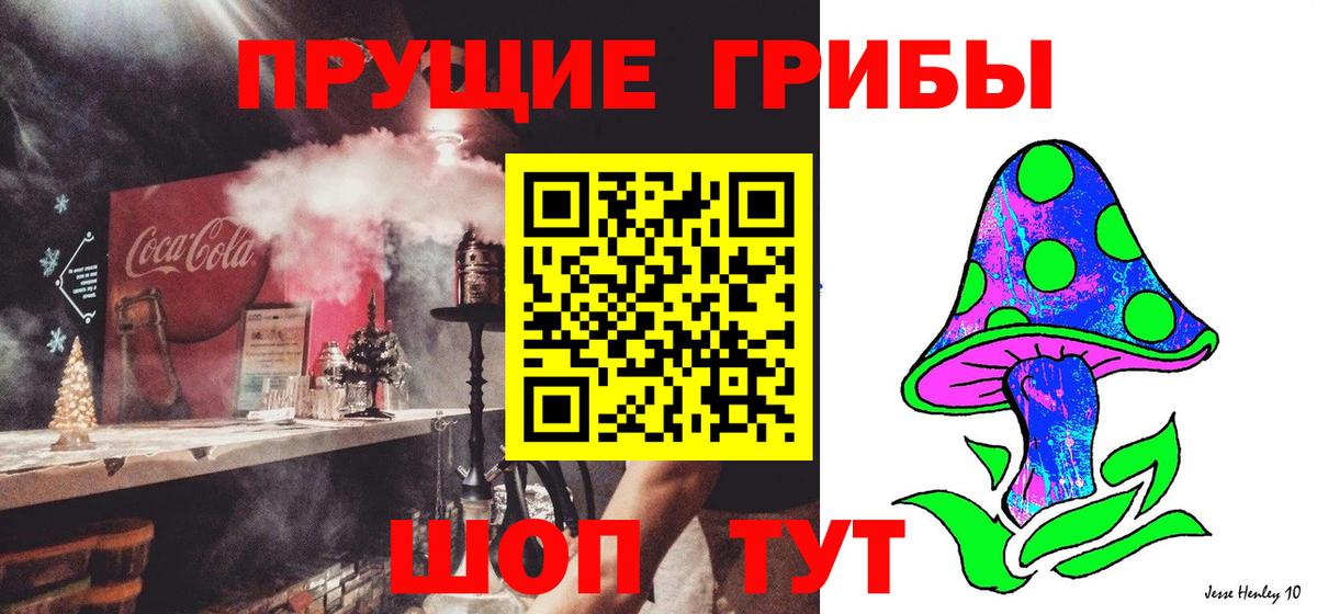 Псилоцибиновые грибы мицелий  Вход с VPN  Галлюциногенные грибы мицелий  Мурманск 