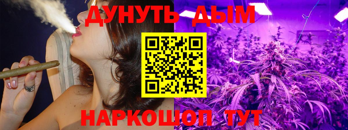 Шишки марихуана марихуана Мурманск