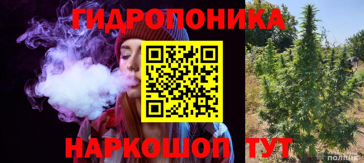 Мурманск  Бошки марихуана Bruce Banner  Вход с VPN  Каннабис сатива  Бошки марихуана Ganja 